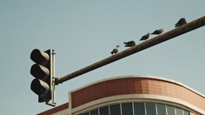 天天影院热播国产都市剧封面图，现代都市背景下两位主演对视，画面色调温暖明亮