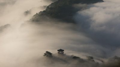 天天影院韩国综艺节目封面，韩国明星在室内游戏环节中大笑互动，画面轻松欢乐